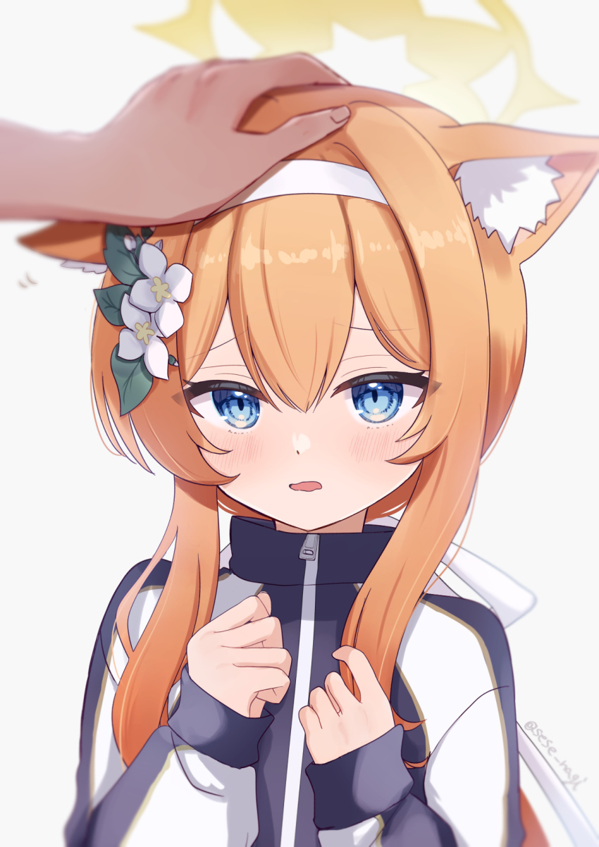 Mari (Blue Archive) Rule 34 Image