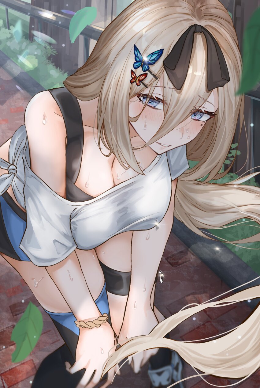 Aponia (Honkai (Series)) Rule 34 Image