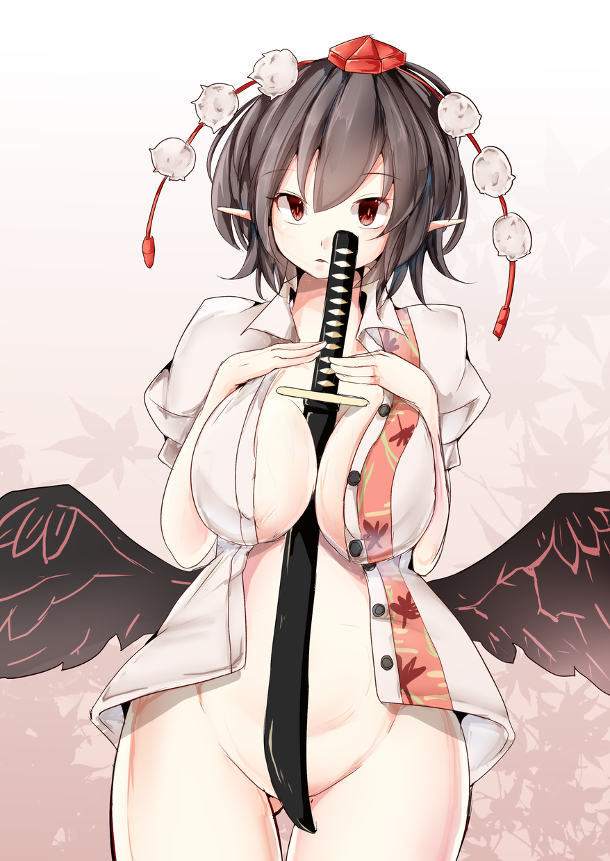 Shameimaru Aya (Touhou) Rule 34 Image