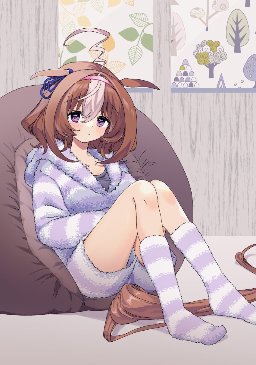 Meisho Doto (Umamusume) Rule 34 Image