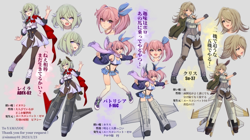 Ace Combat Rule 34 Image