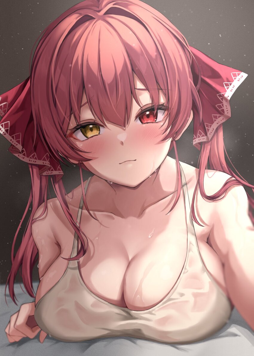 Houshou Marine (Hololive) Rule 34 Image