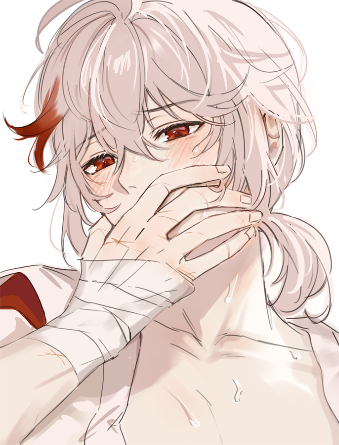Kaedehara Kazuha (Genshin Impact) Rule 34 Image