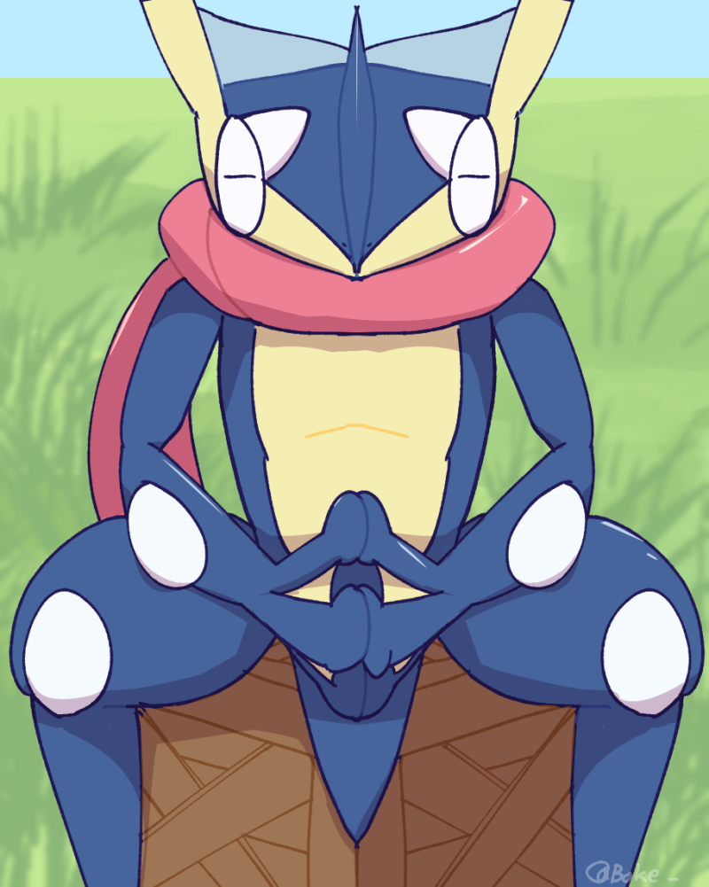 Gen 6 Pokemon (Nintendo) Rule 34 Image