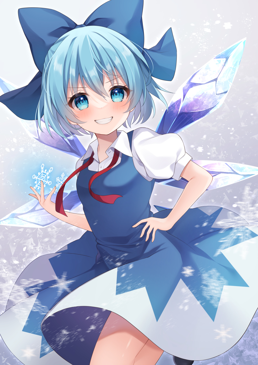 Cirno (Touhou) Rule 34 Image