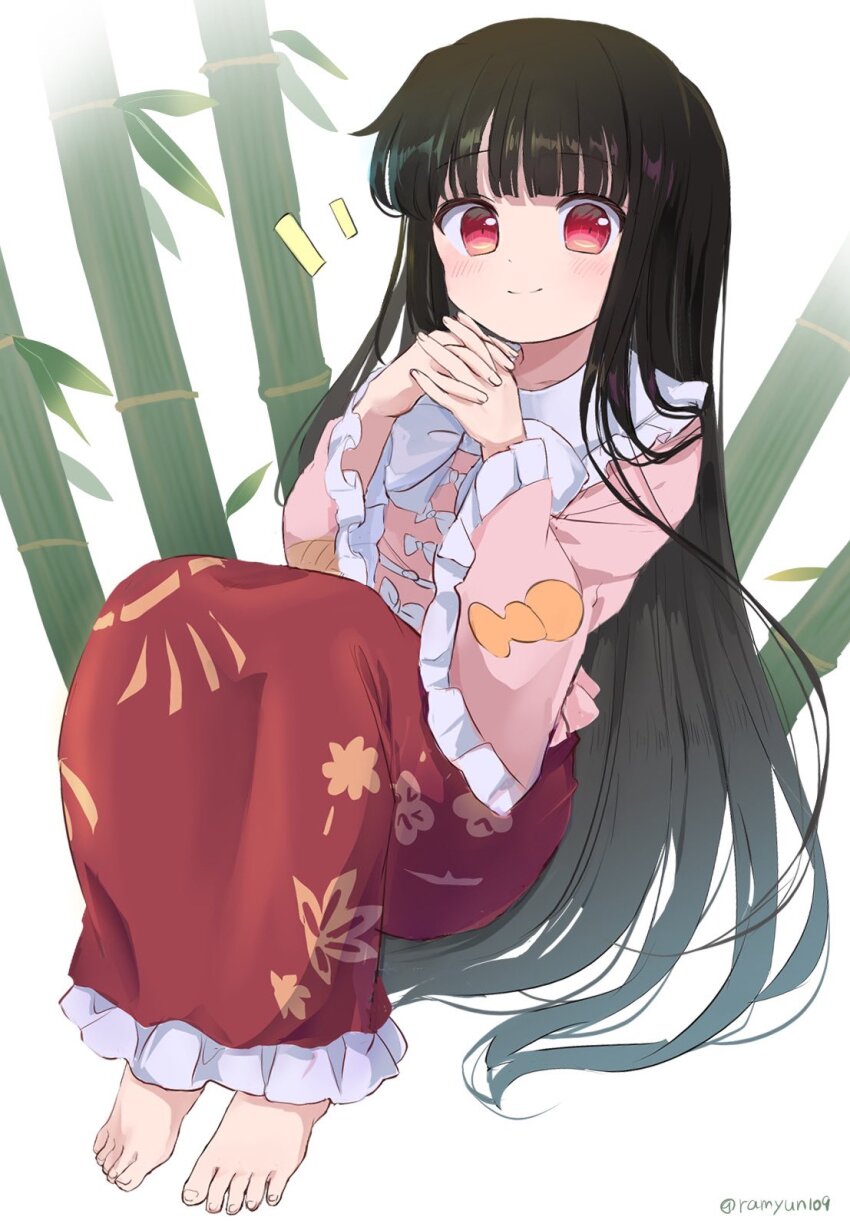 Houraisan Kaguya (Touhou) Rule 34 Image