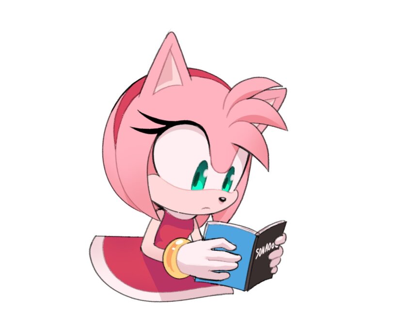 Amy Rose (Sonic (Series)) Rule 34 Image
