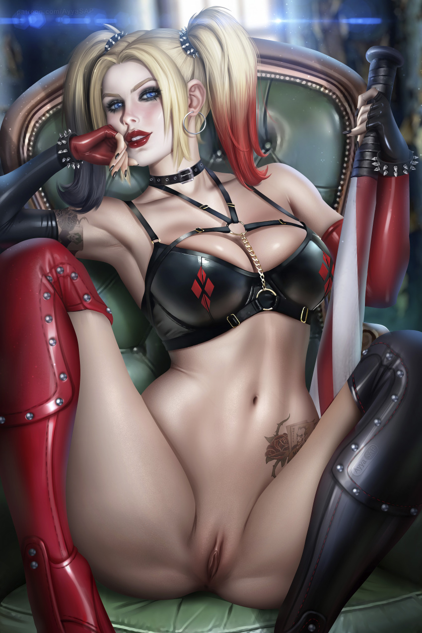 Harley Quinn (Dc) Rule 34 Image