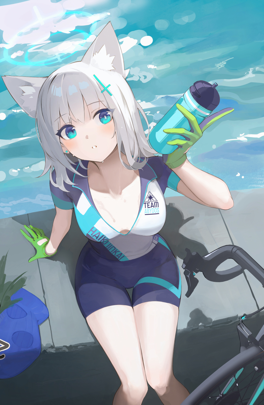 Shiroko (Blue Archive) Rule 34 Image