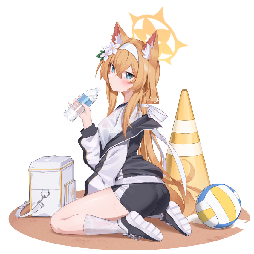 Mari (Blue Archive) Rule 34 Image