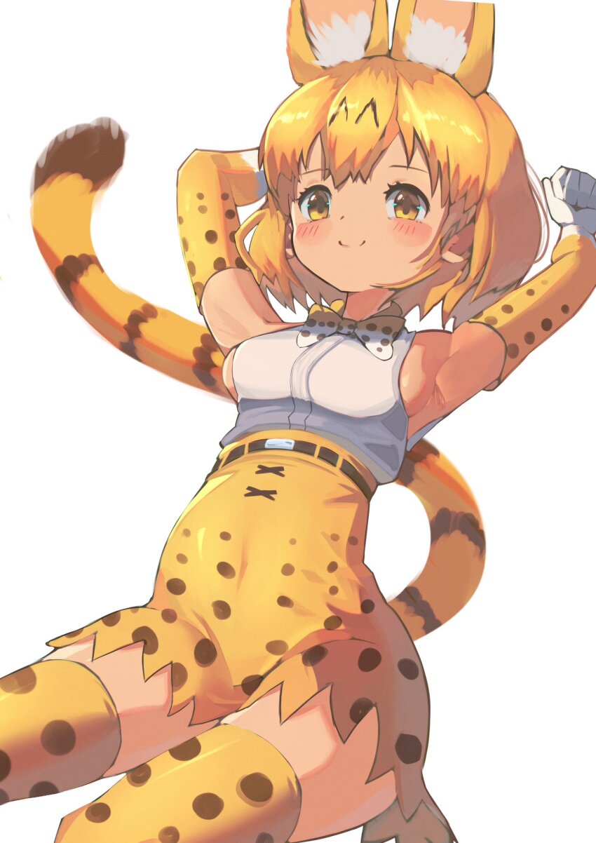 Serval (Kemono Friends) Rule 34 Image