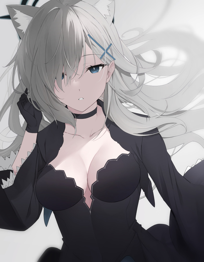 Shiroko Terror (Blue Archive) Rule 34 Image