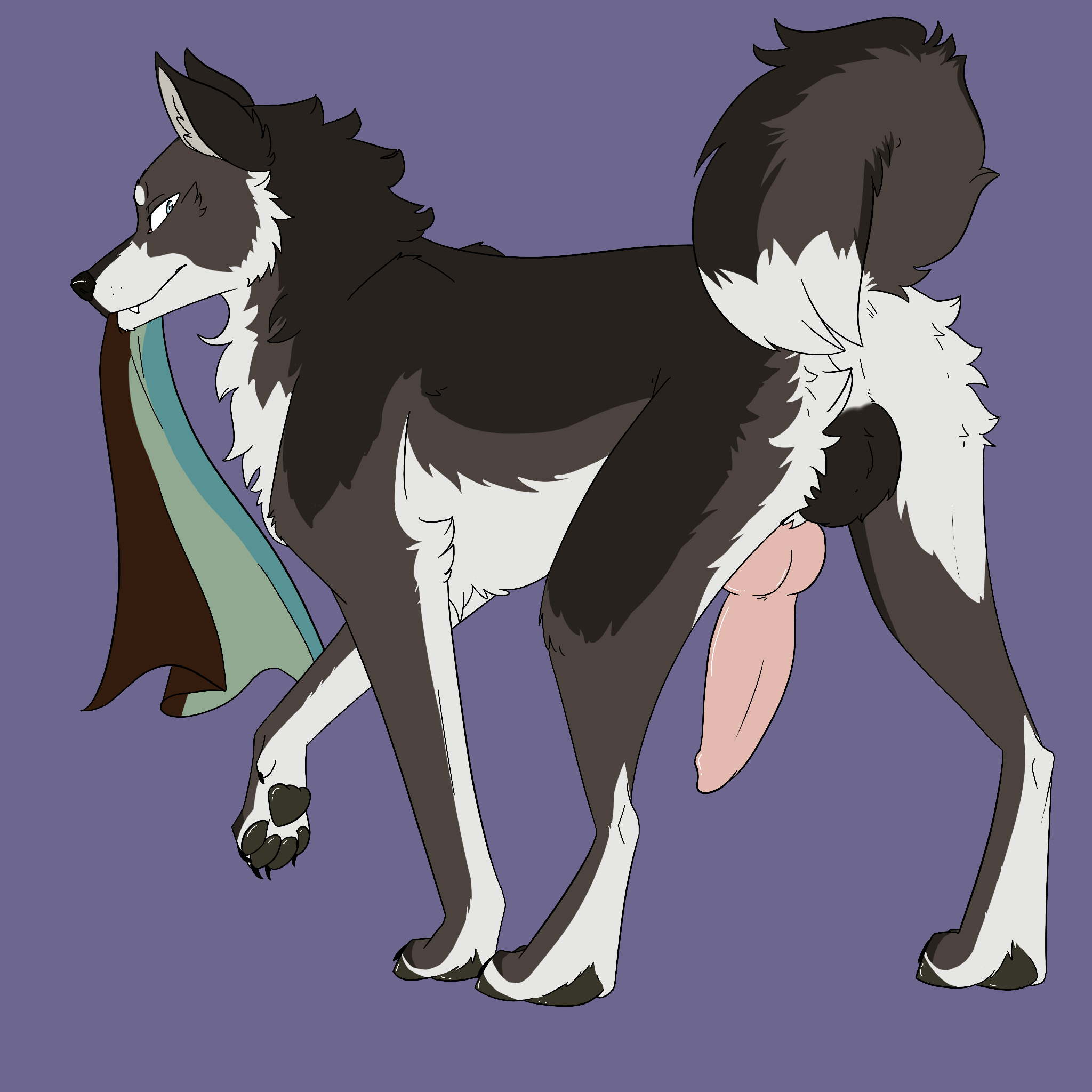 Shepsky Rule 34 Image
