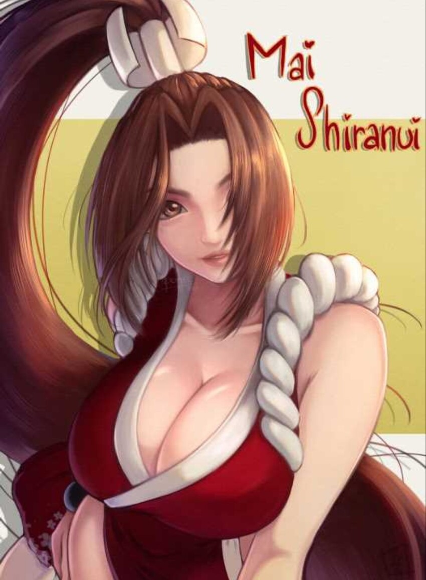 Fatal Fury Rule 34 Image