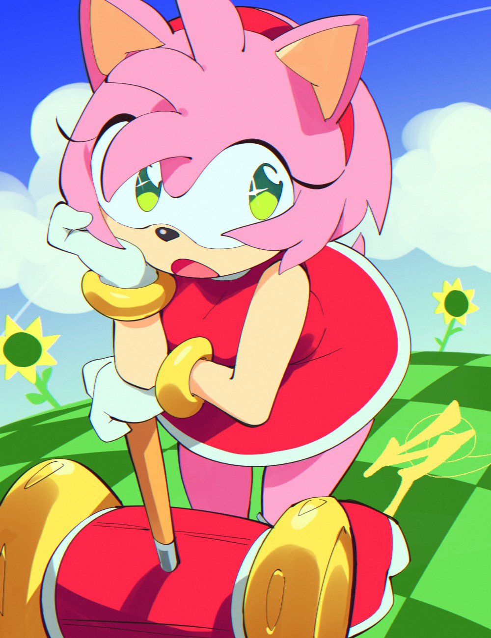 Amy Rose (Sonic (Series)) Rule 34 Image