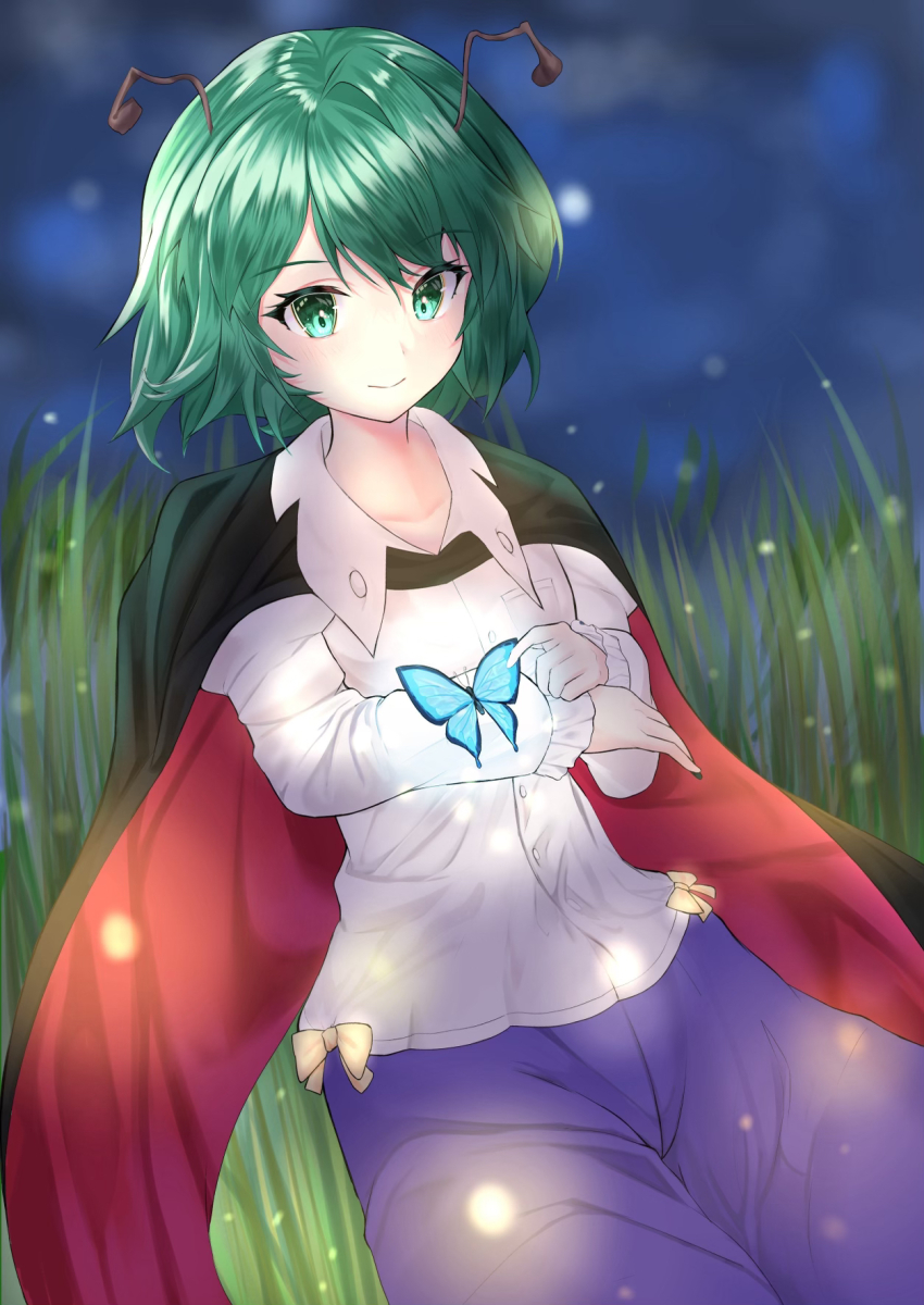 Wriggle Nightbug (Touhou) Rule 34 Image