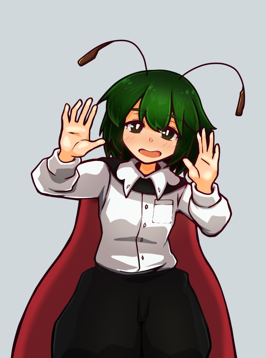 Wriggle Nightbug (Touhou) Rule 34 Image