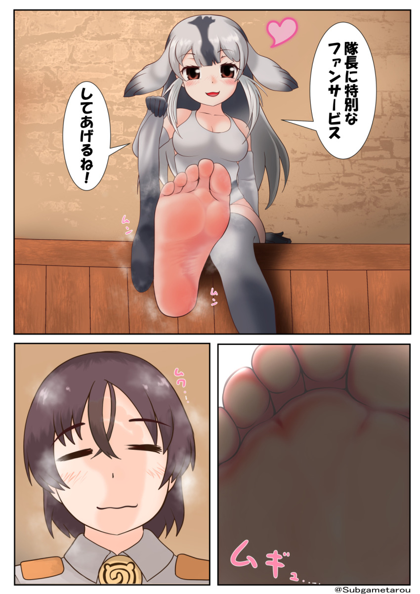 Captain (Kemono Friends) Rule 34 Image