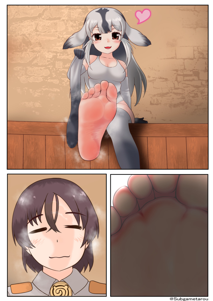 Captain (Kemono Friends) Rule 34 Image