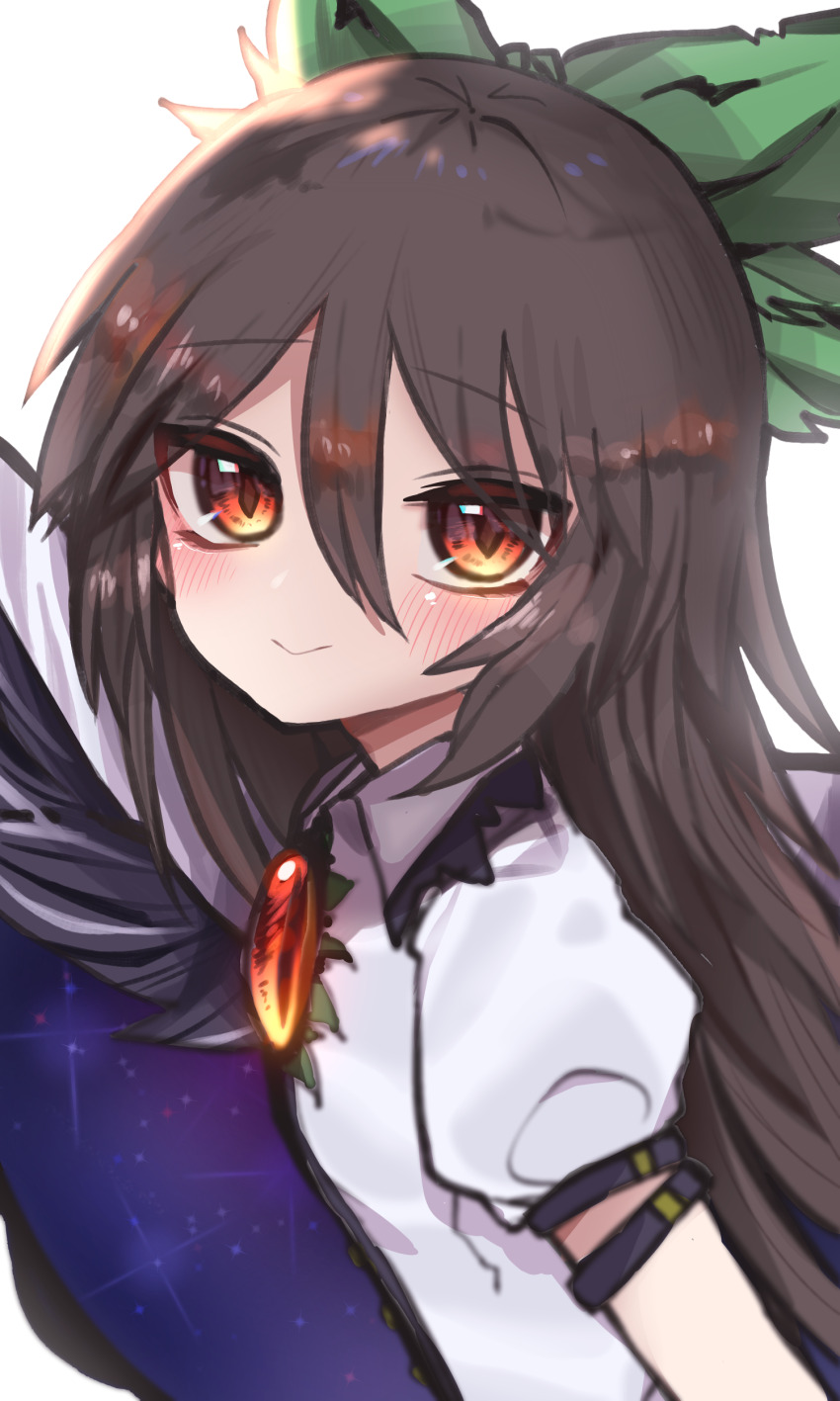 Reiuji Utsuho (Touhou) Rule 34 Image