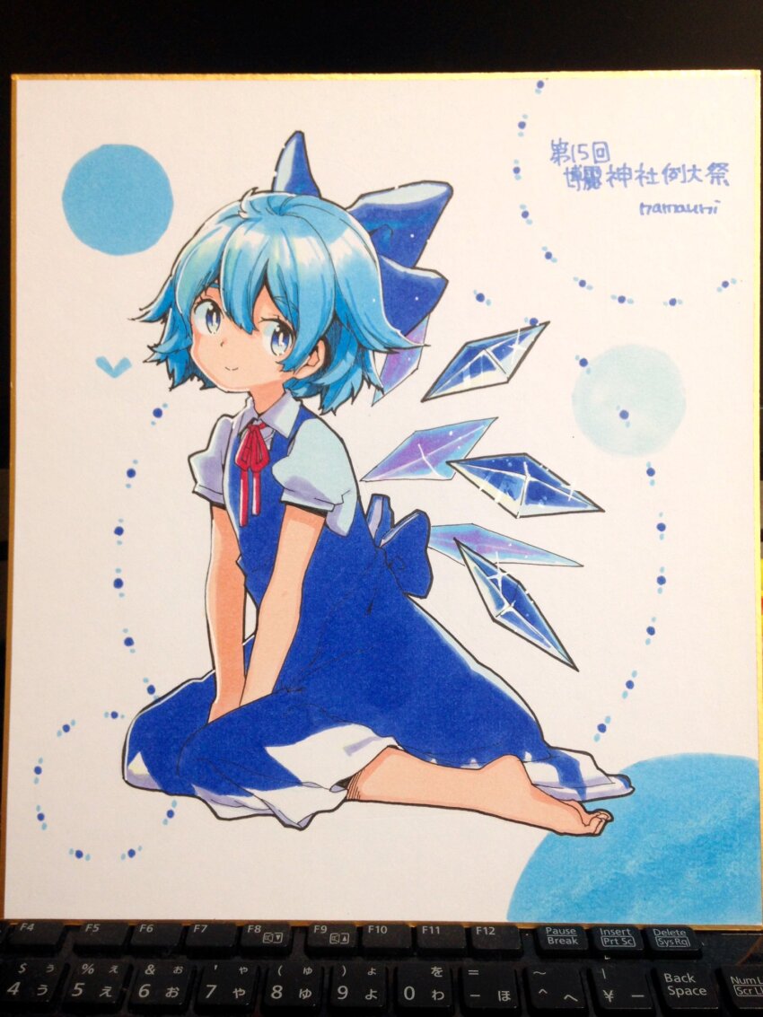 Cirno (Touhou) Rule 34 Image