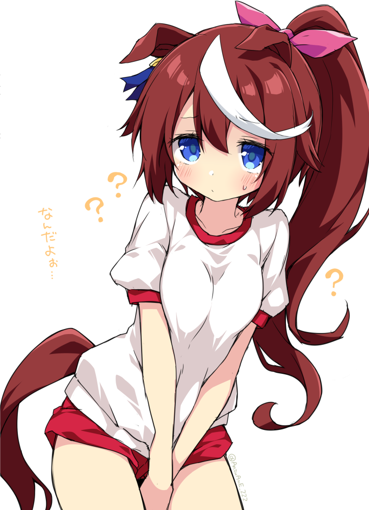 Tokai Teio (Umamusume) Rule 34 Image