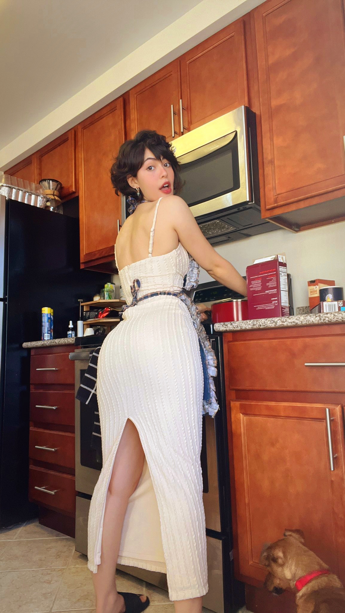 Apron Rule 34 Image