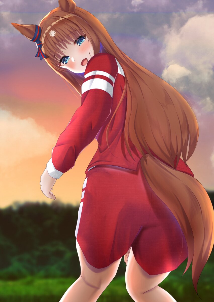 Grass Wonder (Umamusume) Rule 34 Image
