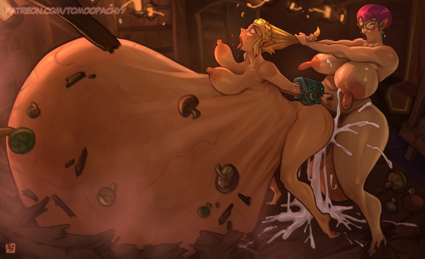 Cece (Tears Of The Kingdom) Rule 34 Image