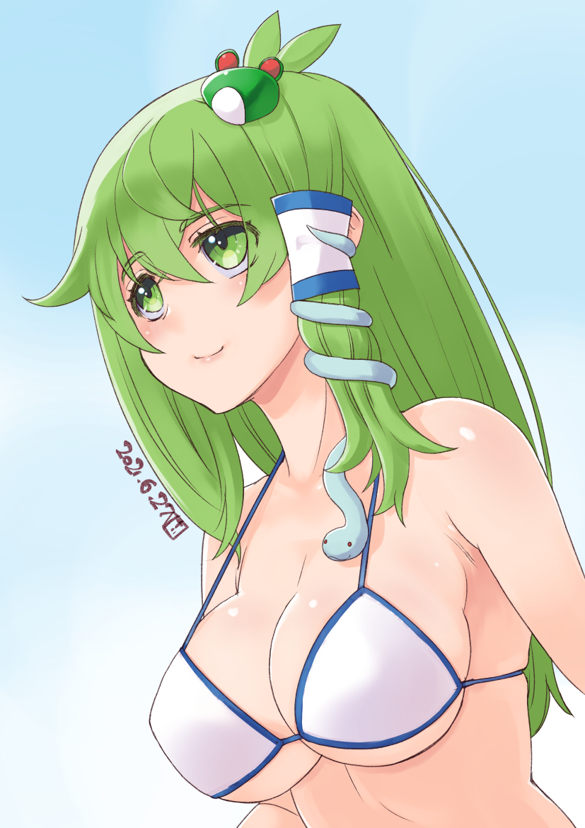 Kochiya Sanae (Touhou) Rule 34 Image
