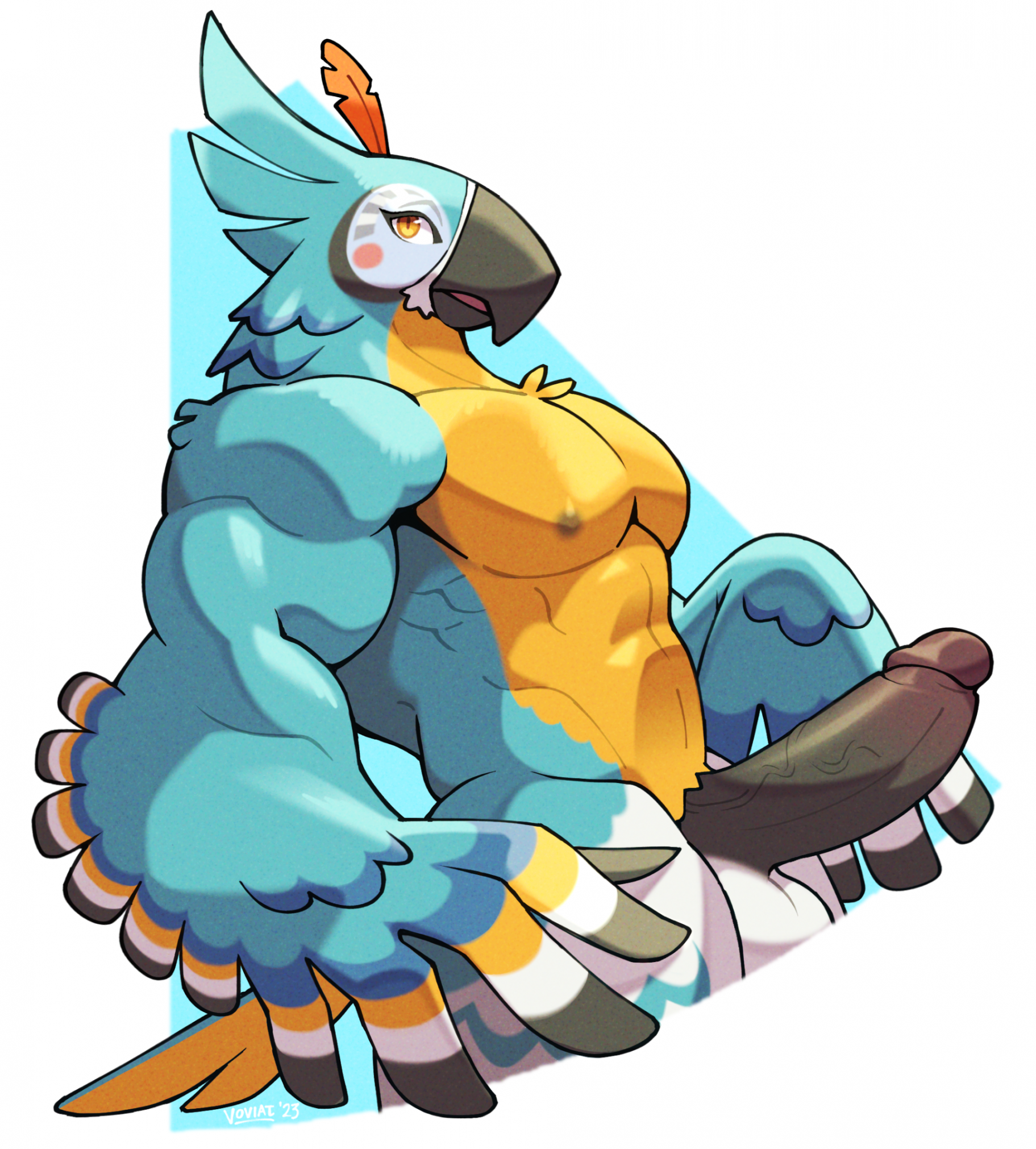 Kass (Tloz) Rule 34 Image