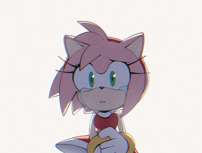 Amy Rose (Sonic (Series)) Rule 34 Image