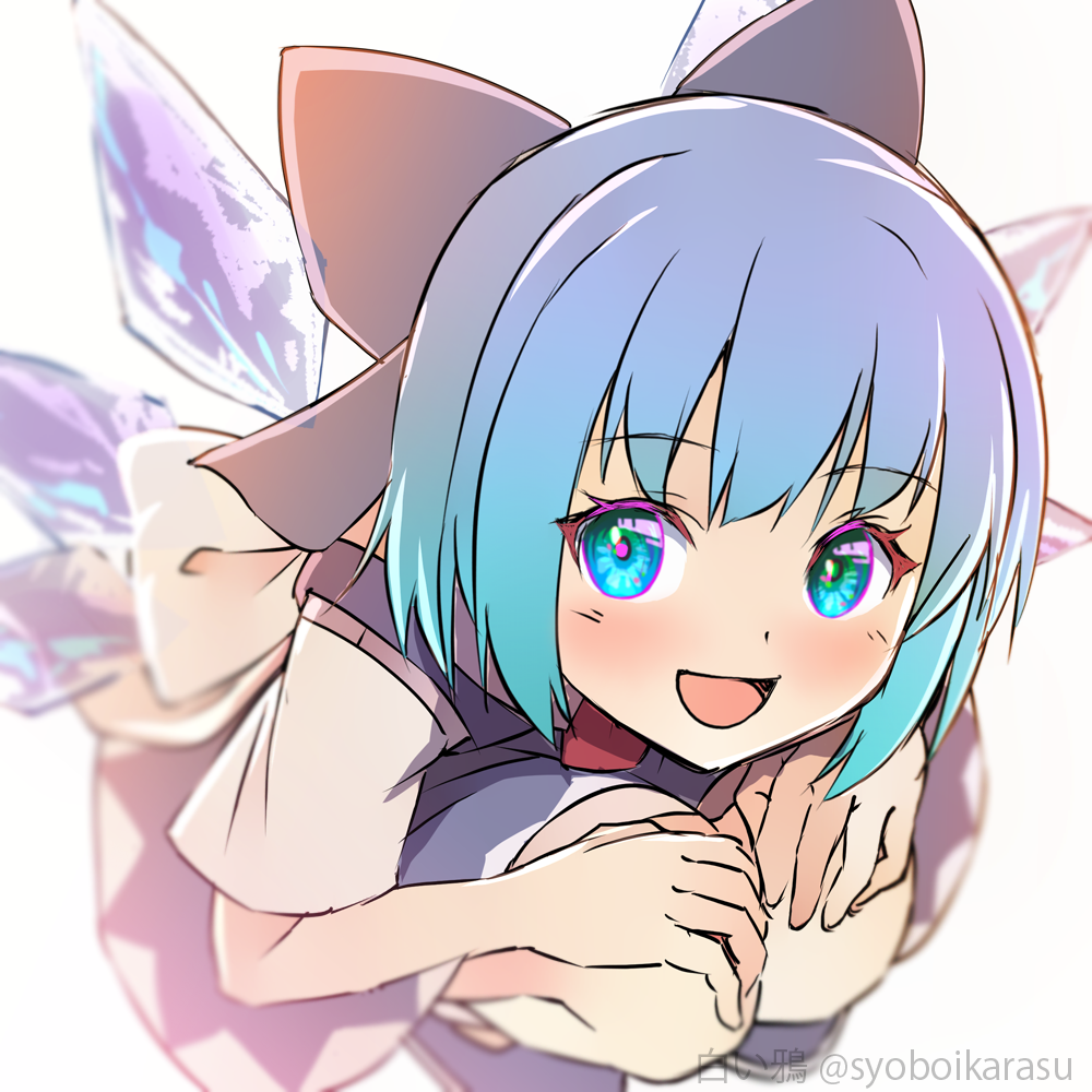 Cirno (Touhou) Rule 34 Image