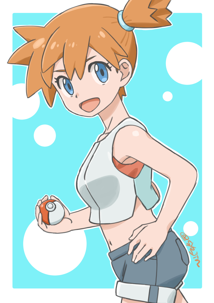Gym Leader (Nintendo) Rule 34 Image
