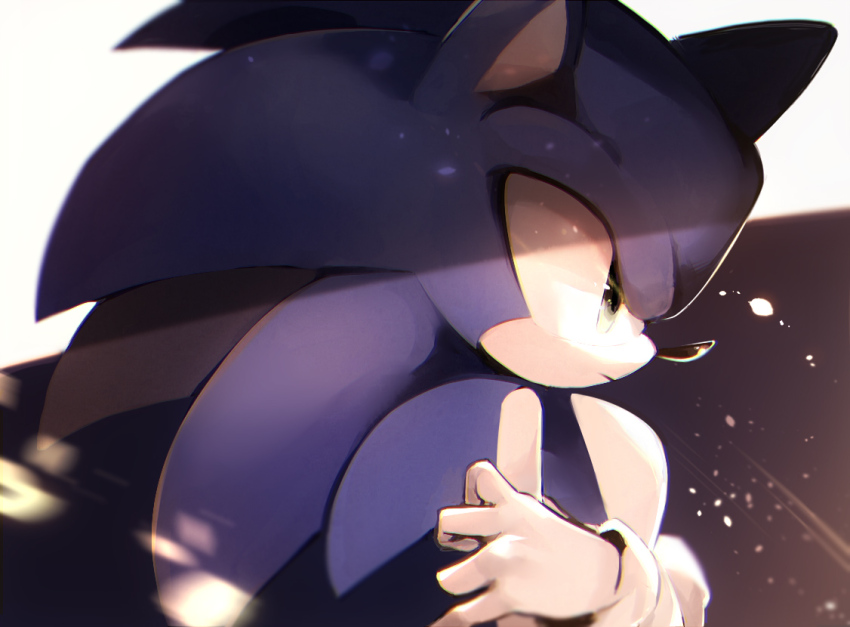 Sonic The Hedgehog (Sonic (Series)) Rule 34 Image