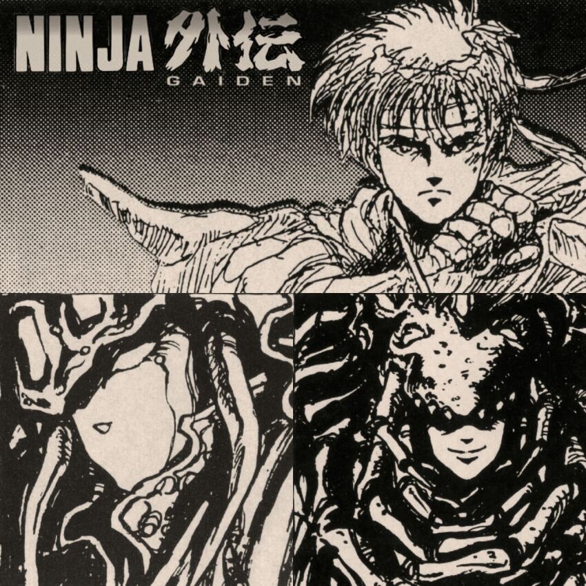 Ryu Hayabusa (Ninja Gaiden) Rule 34 Image