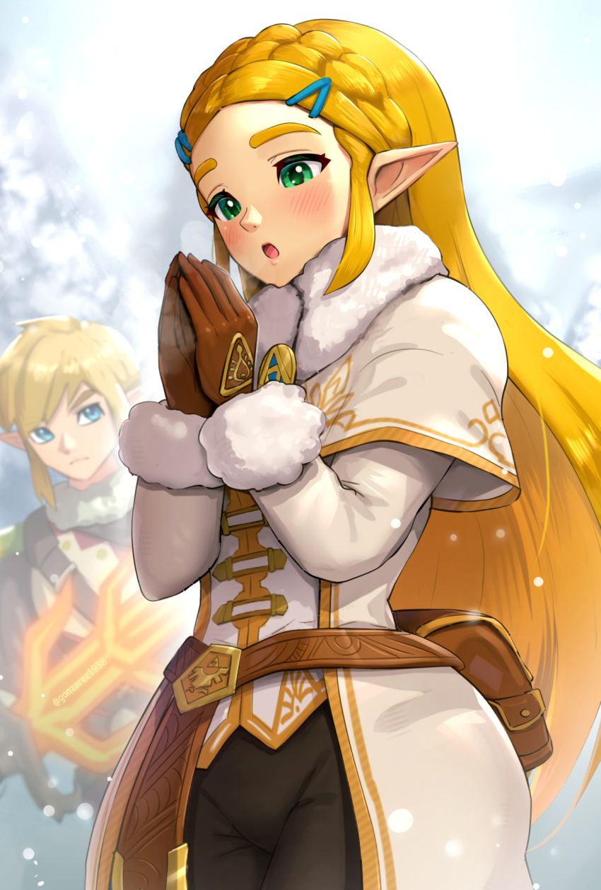 Link (Nintendo) Rule 34 Image