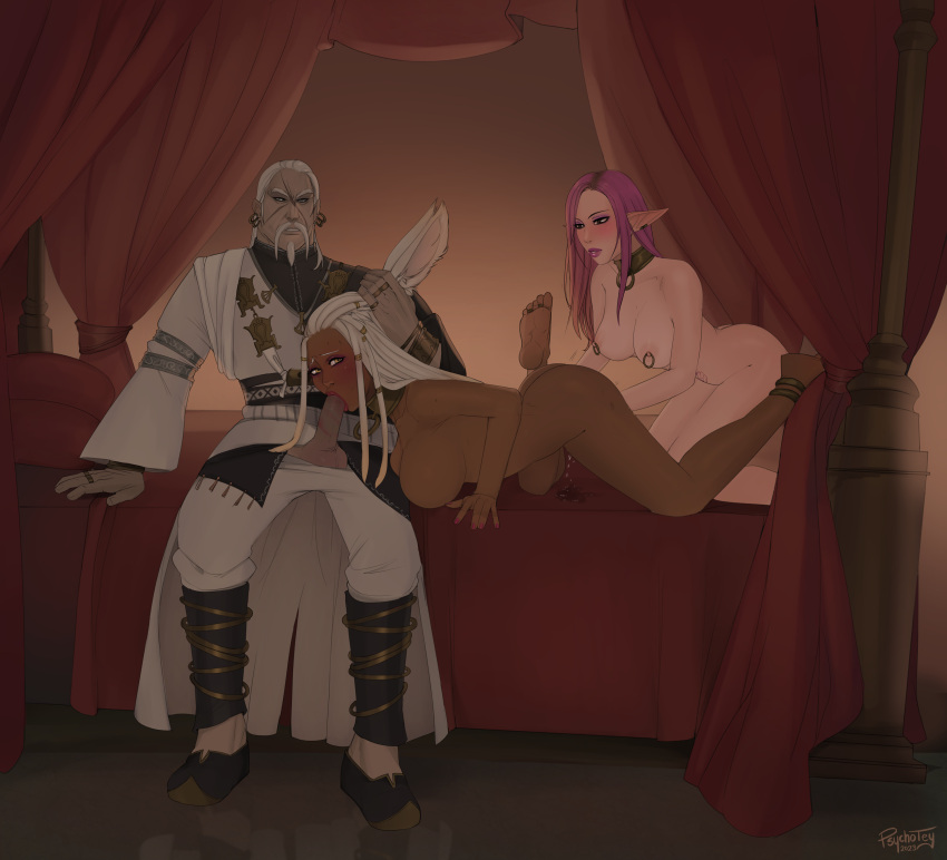 Elezen Rule 34 Image
