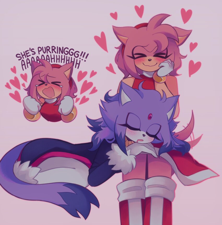 Amy Rose (Sonic (Series)) Rule 34 Image