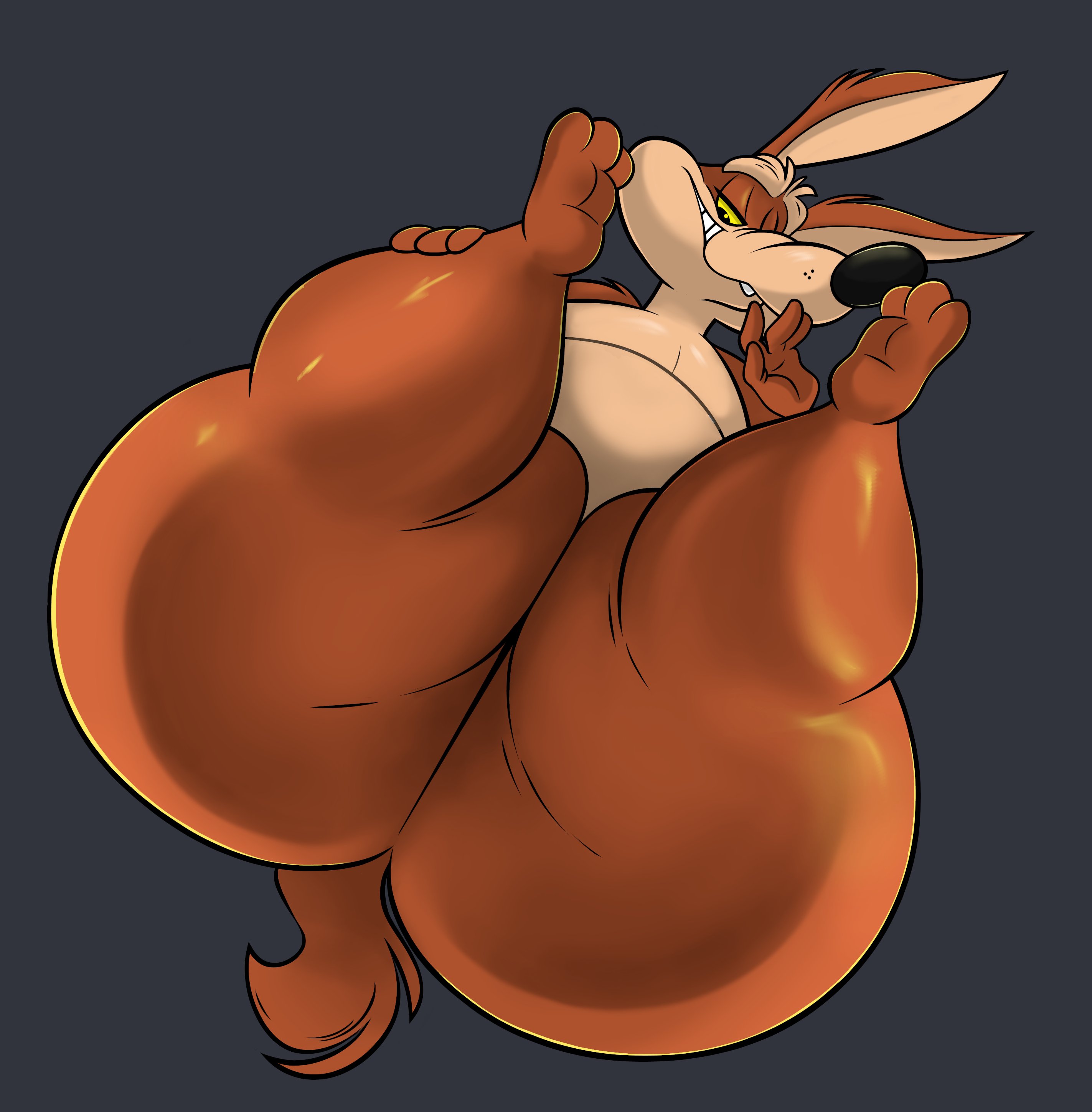 Wile E. Coyote (Looney Tunes) Rule 34 Image