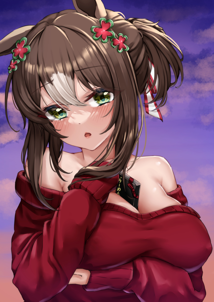 Fine Motion (Umamusume) Rule 34 Image