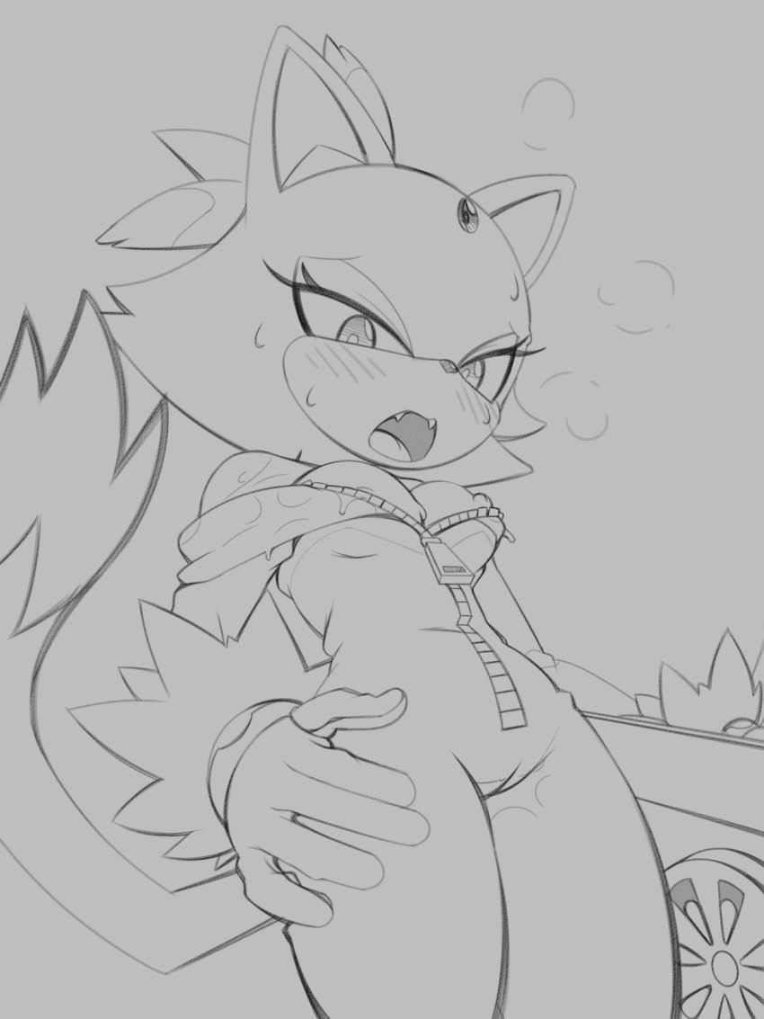 Blaze The Cat (Sonic (Series)) Rule 34 Image