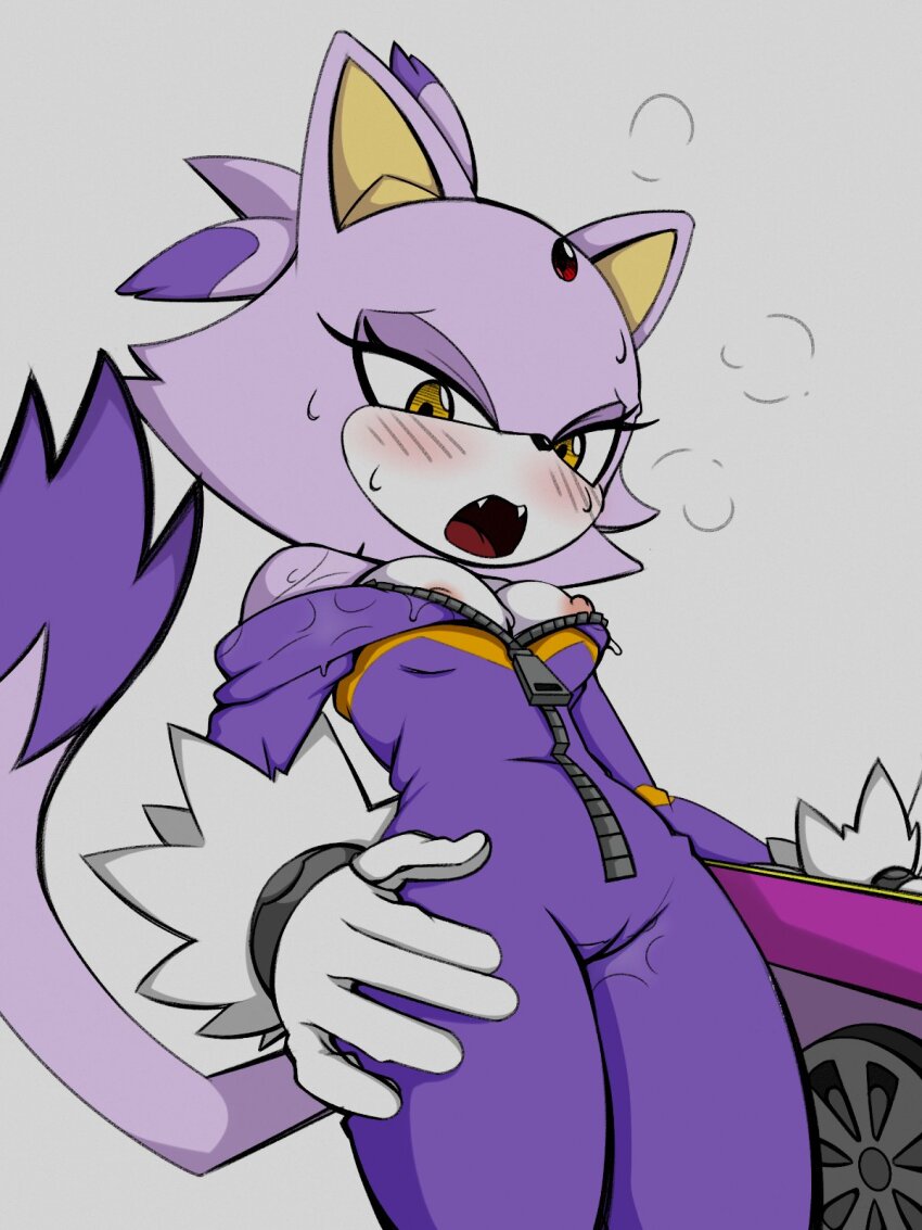Blaze The Cat (Sonic (Series)) Rule 34 Image