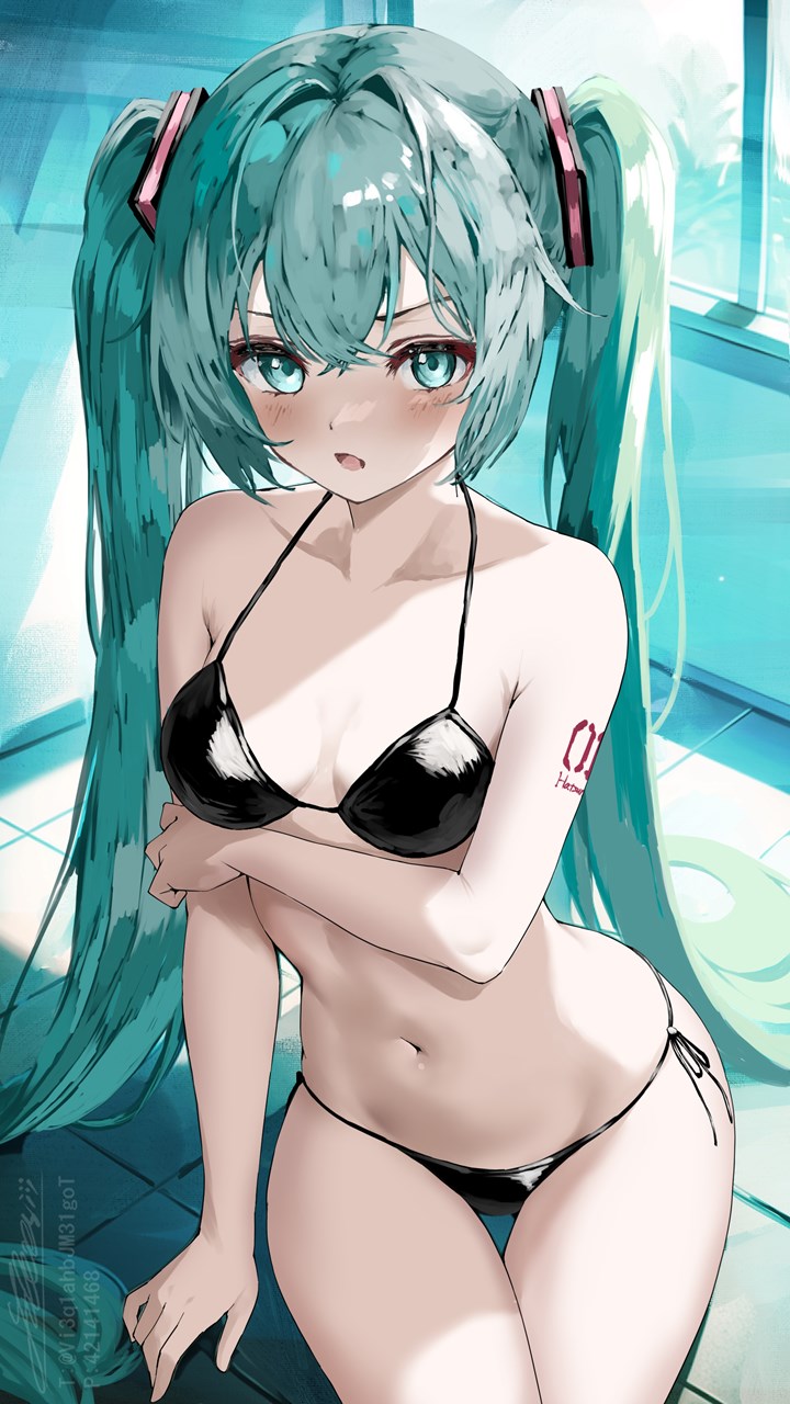 Hatsune Miku (Vocaloid) Rule 34 Image