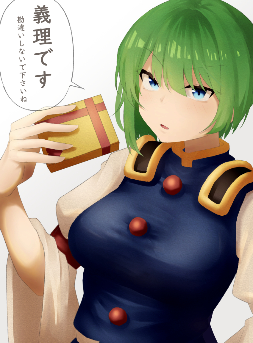 Shiki Eiki (Touhou) Rule 34 Image