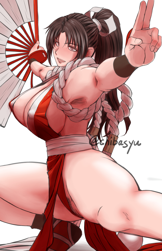 Fatal Fury Rule 34 Image