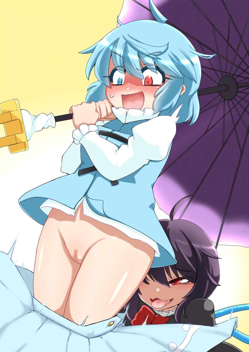 Houjuu Nue (Touhou) Rule 34 Image