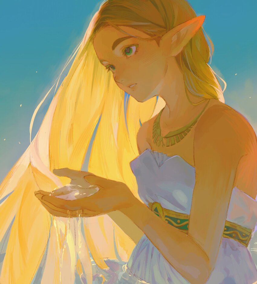 Princess Zelda (Nintendo) Rule 34 Image