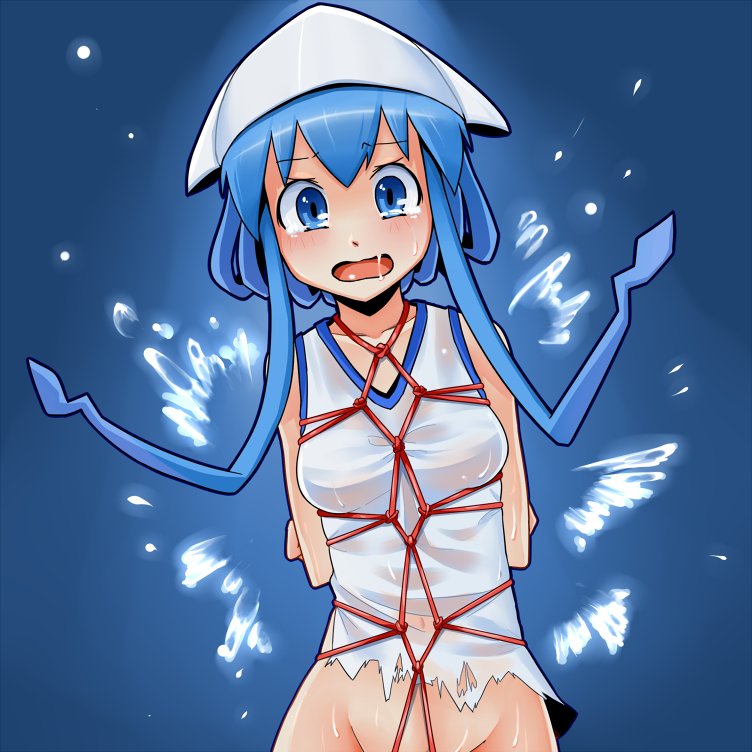 Ikamusume (Shinryaku! Ikamusume) Rule 34 Image
