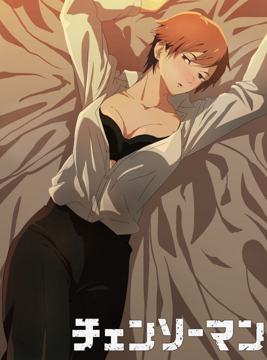 Chainsaw Man Rule 34 Image